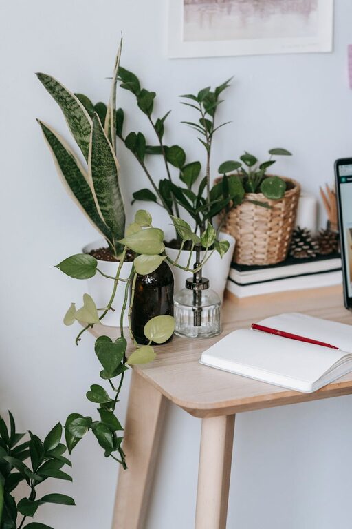 How to Create a Relaxing Home Workspace for Better Focus
